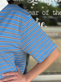 The Bluebird Polo Top